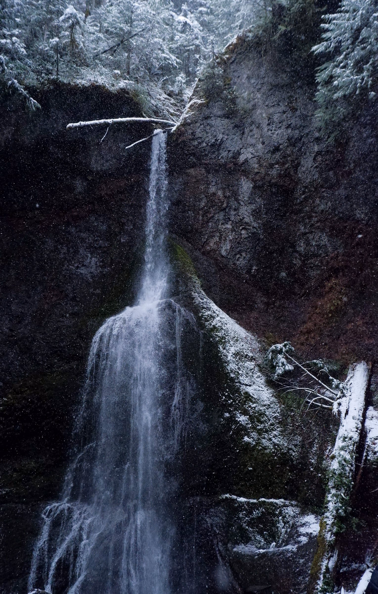 Waterfall in Olympic National Park