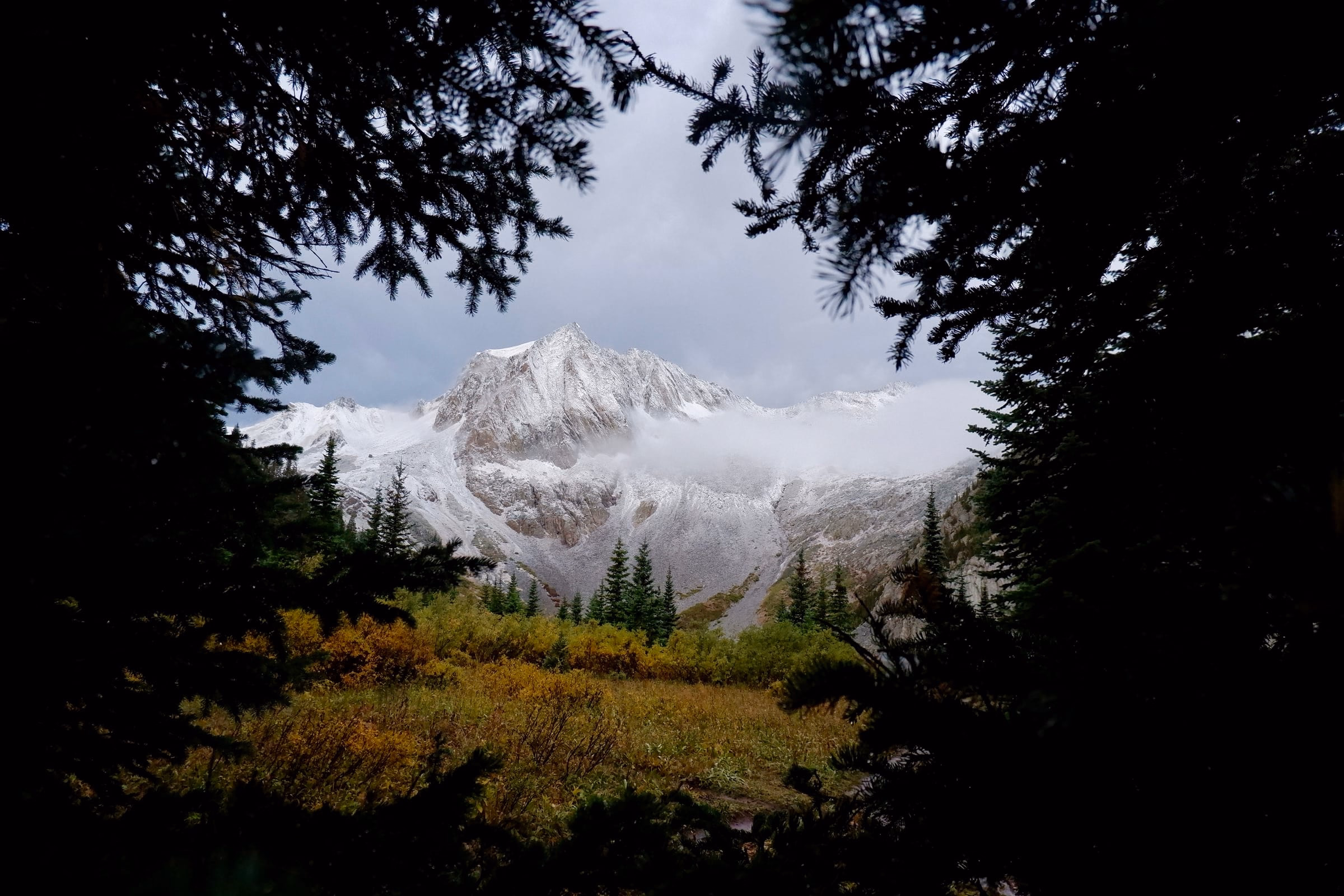 View of mountain through the trees on Four Pass Loop trail. This is taken from the first campsite I stayed at in between Buckskin Pass and Trail Rider Pass.