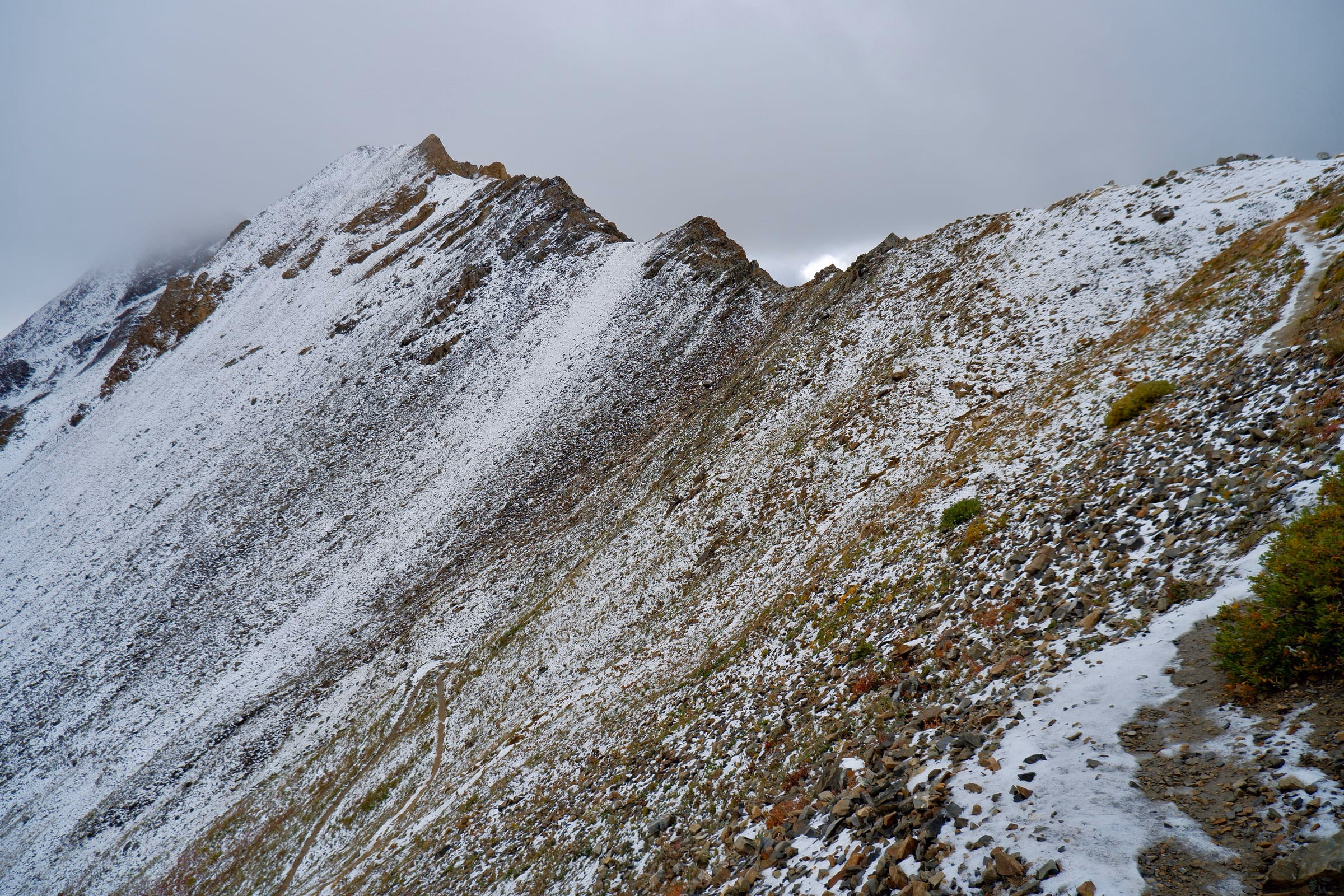 Spine of Trail Rider Pass on Four Pass Loop Trail.