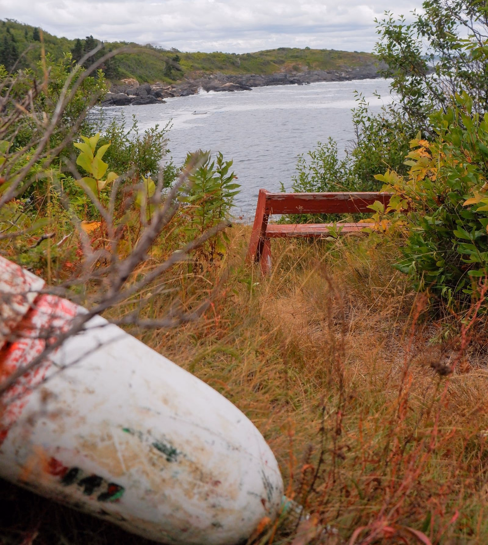 Bench overlooking the north cove of Sequin Island.