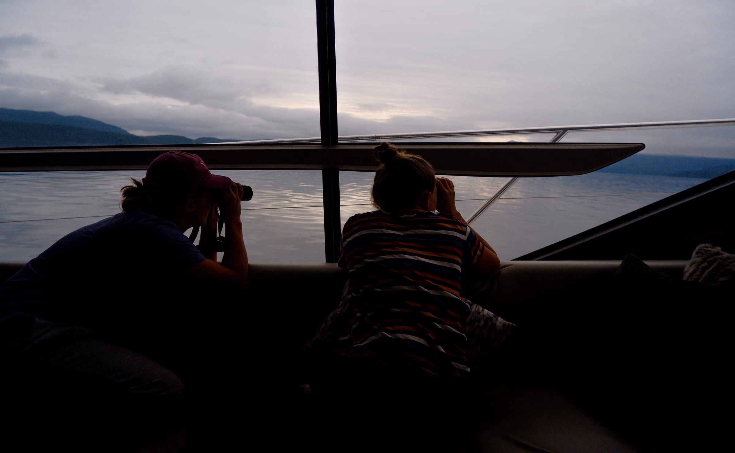 Looking for wildlife...